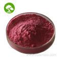 100% Pure And Natural Anthocyanins Elderberry Extract